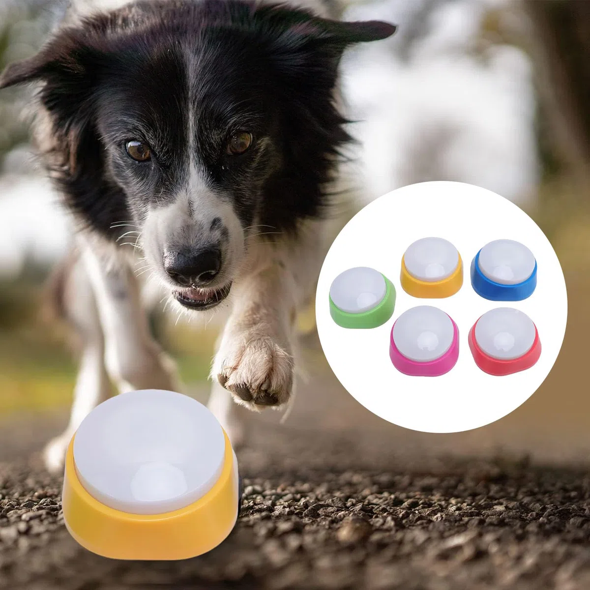 5 zumbadores de entrenamiento para mascotas, color verde, para entrenamiento de animales, para oficina, aula, perro, familia, color rojo, para oficina en casa, controladores