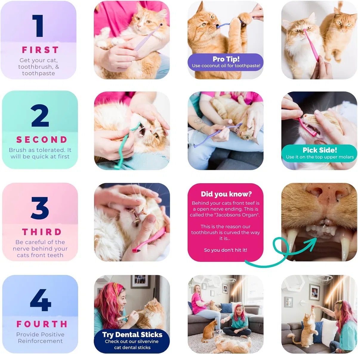 RYERCAT Juego de 5 cepillos de dientes de doble cara para gatos, cepillo de dientes con microcabeza (muy pequeño) para un ajuste personalizado, suministros de cuidado dental para gatos, cepillo de