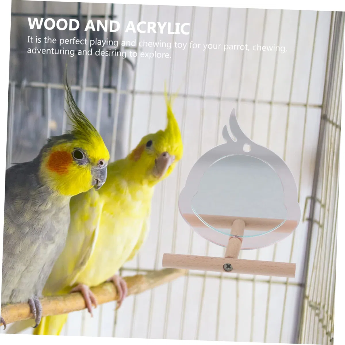 YARNOW 5piezas Perch para Aves Pequeñas Soporte Resistente para Periquitos y Juguete De Descanso y Ejercicio Diseño Chic Accesorio para Jaula De