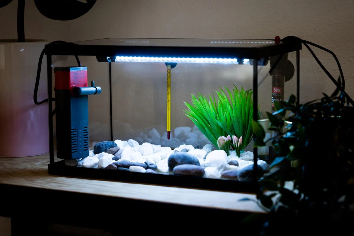 Acuario Cristal con Marco Negro 20 L. Kit Completo (XIL)