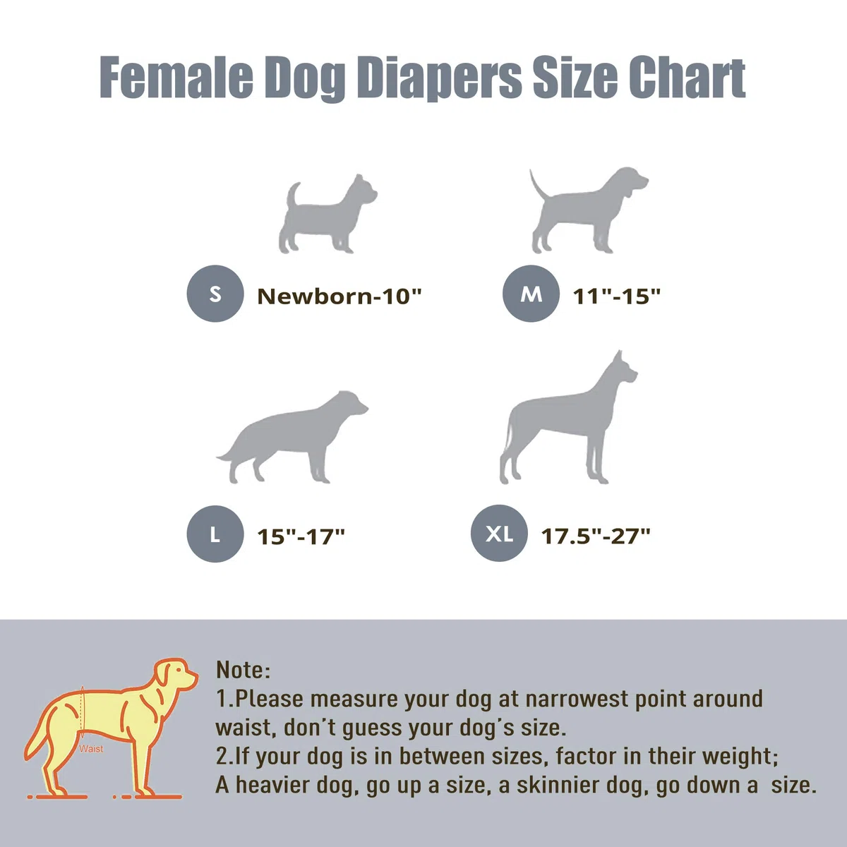 wegreeco Pañales para Perros Hembras (Paquete de 3), pañales Altamente absorbentes para Perras, pañales Lavables para Perros en celo, incontinencia o micción excitable (Leopardo Colorido, XL)