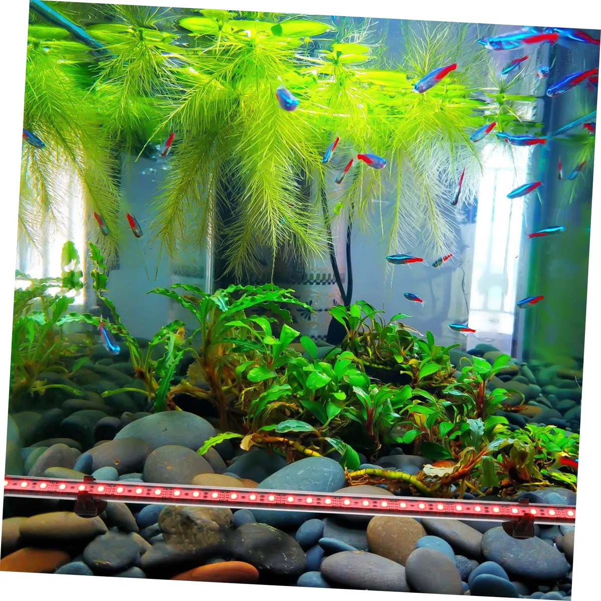 FOMIYES Luz Led Submarina Para Acuarios Lámpara Decorativa De Paisajismo Acuático Rgb Control Remoto Para Peceras De Agua Dulce y Salada