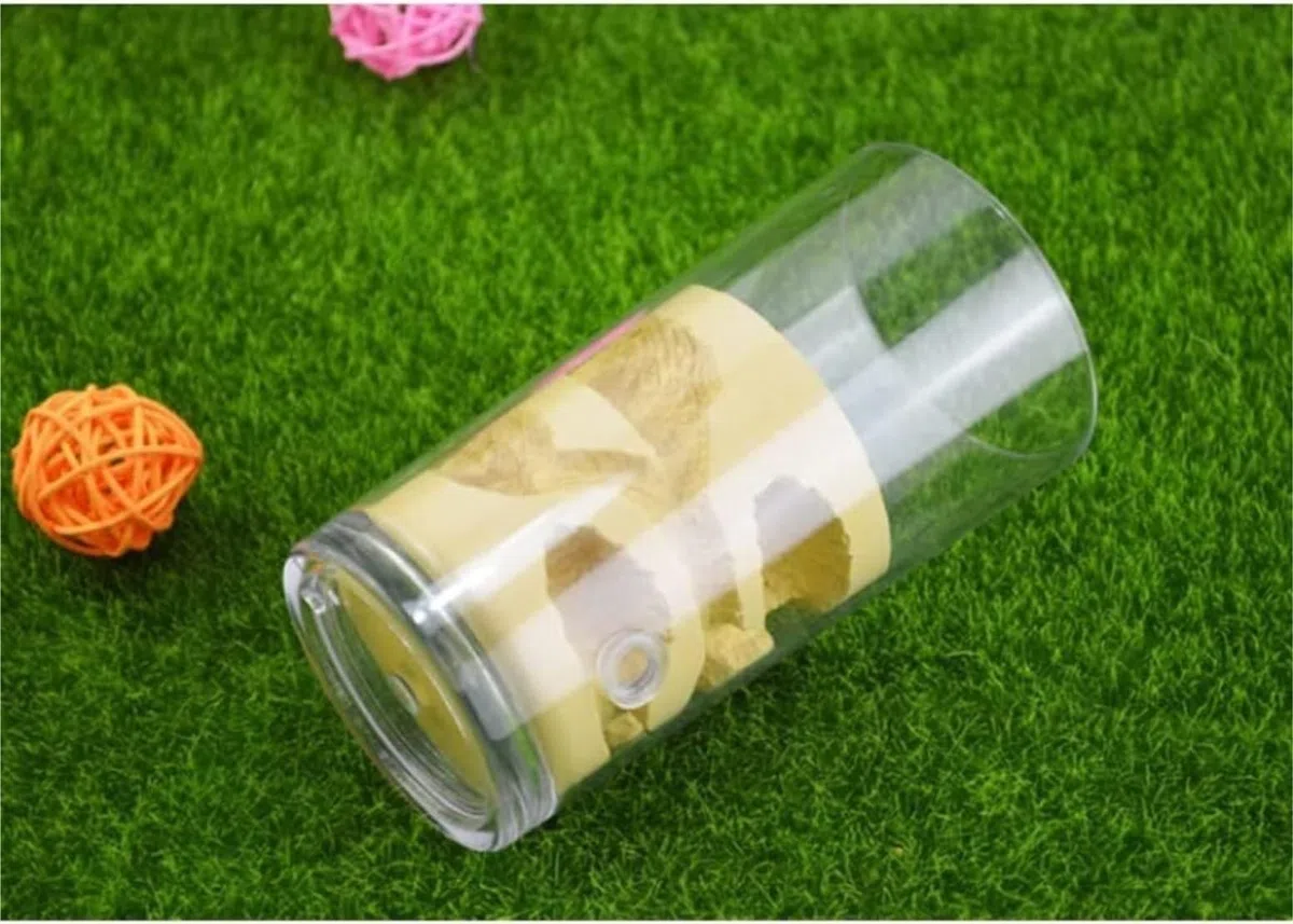 Acrylic Ant Castle