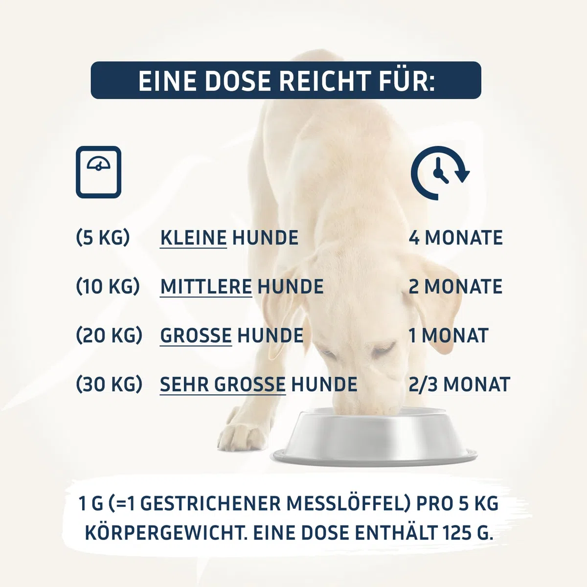 PetFokus Complejo intestinal para perros - Apoyo a la digestión, antiinflamatorio, salud articular y control de peso, complementario a la alimentación húmeda, seca o cruda - producido en Alemania