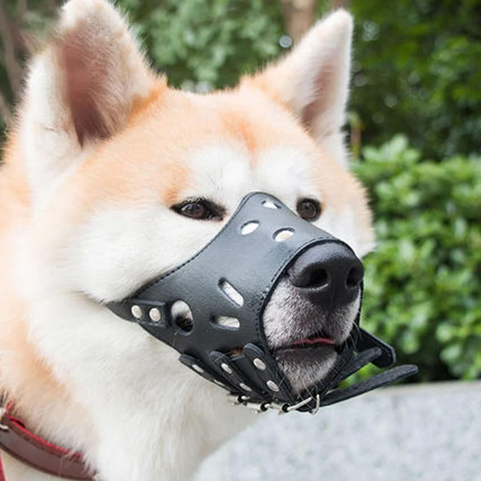 Protección contra la mordedura, Bozal for Perros, Protector bucal Ajustable: bozal a Prueba de mordeduras(Bruin,M)
