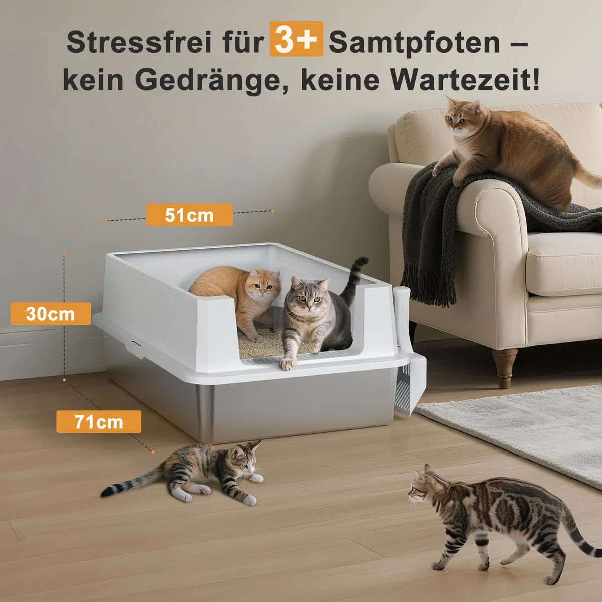 MIXJOY Arenero para Gatos de Acero Inoxidable XXXL - Extra Grande - 71 x 51 x 30 cm - Acero Inoxidable Adecuado para Razas de Gatos Grandes y Varios hogares Aptos para Gatos
