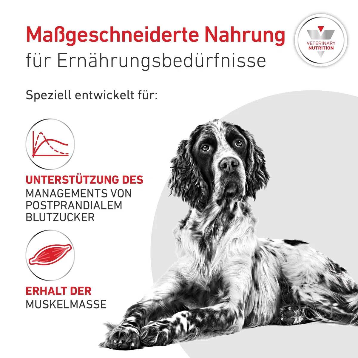 ROYAL CANIN Veterinary Glycobalance | 7 kg | Alimento dietético Completo para Perros Adultos | Alto Contenido de proteínas