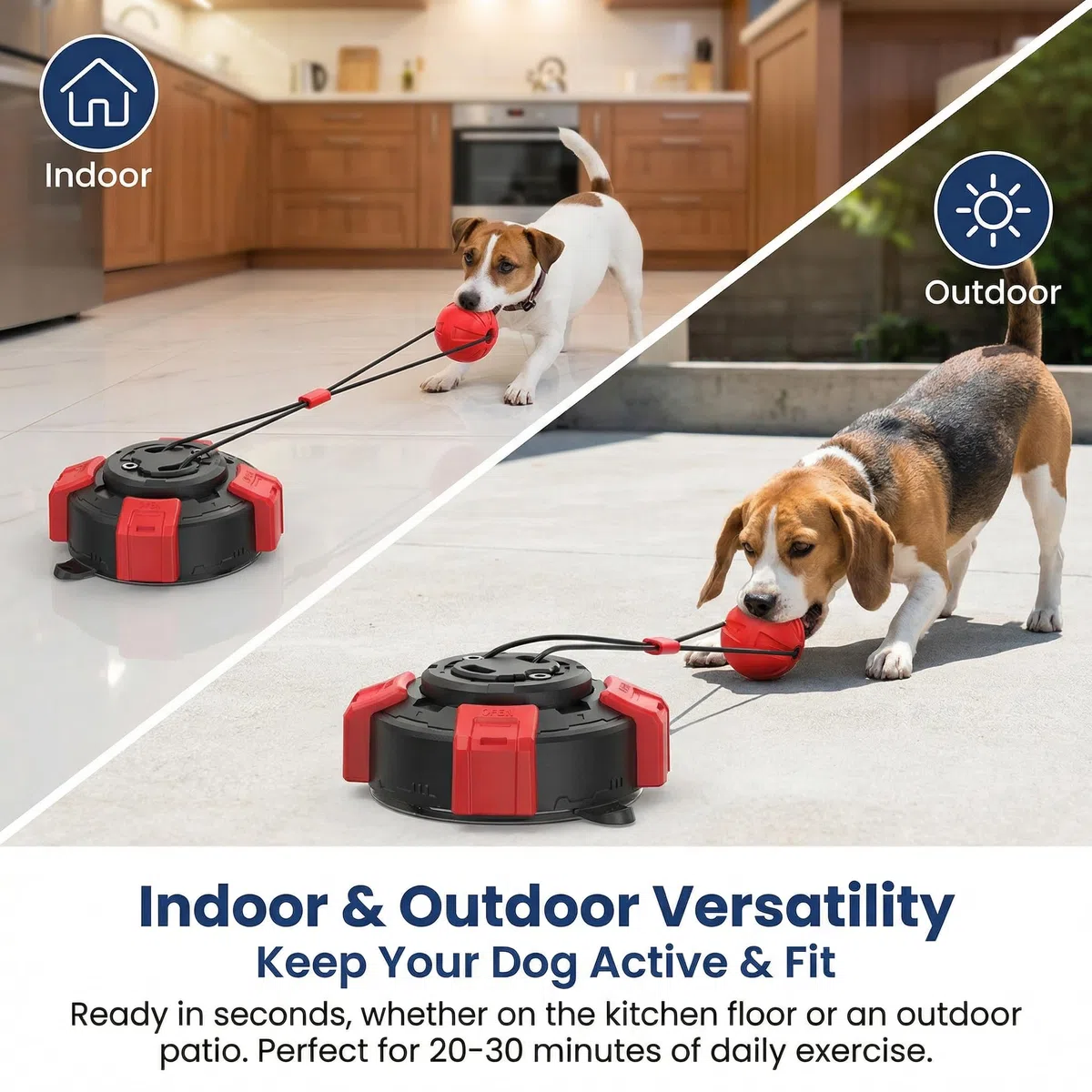Juguetes interactivos para perros pequeños y medianos, juguete para perros pequeños y medianos, con ventosa giratoria para mantenerlos ocupados, cuerda de acero, juguete de dentición para cachorros