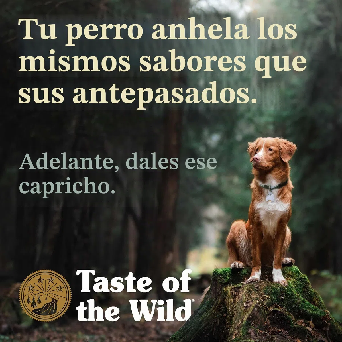 Taste Of The Wild pienso para perros Mini con Venado asado 12,2 kg Appalachian Valley