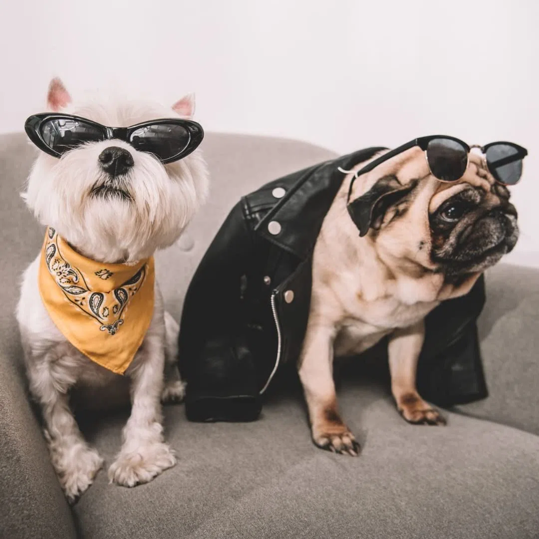 Bandana Pañuelo Triángulo Baberos para Cachorros, Perros y Gatos - naranja - Ajustes De Un Talla Más