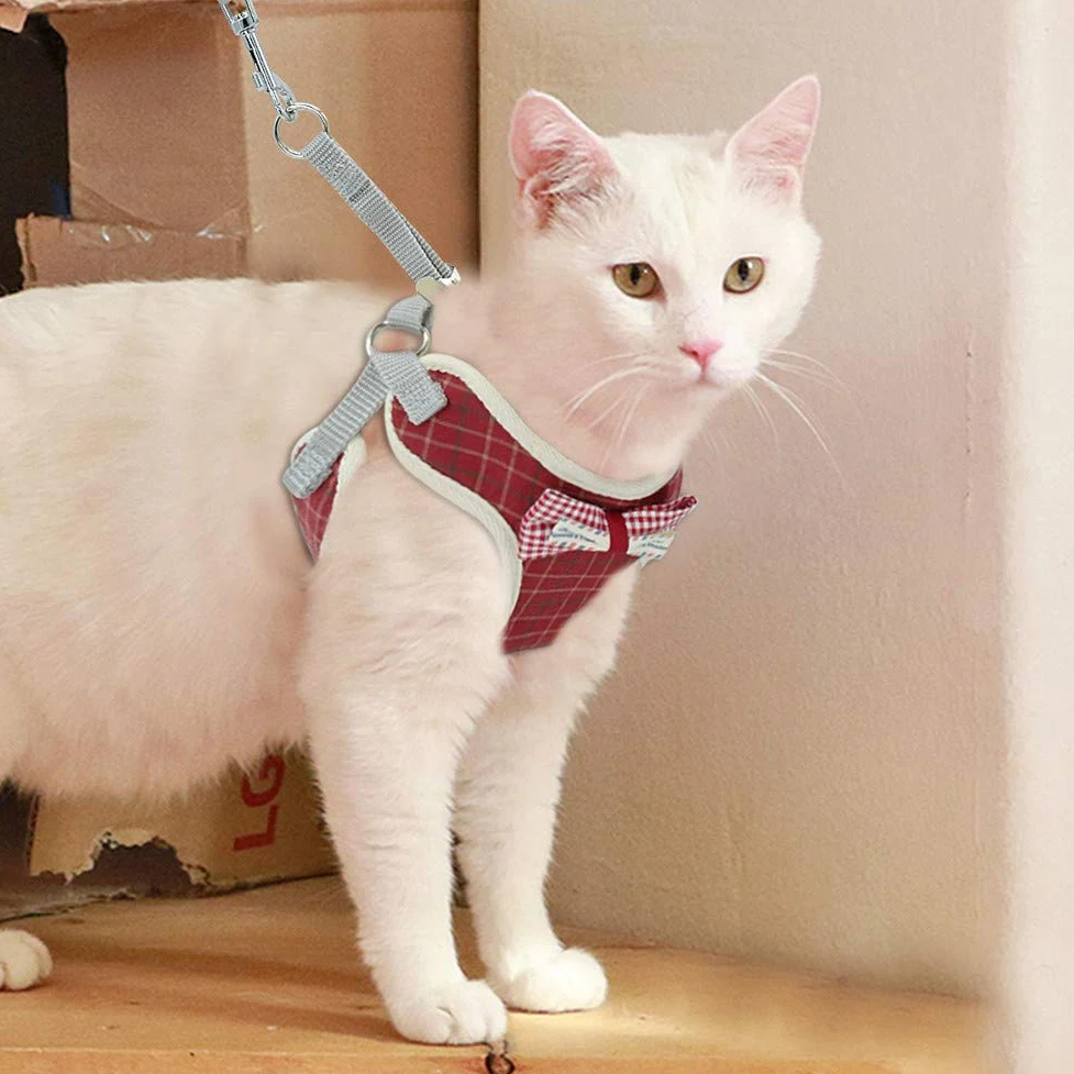 SOCHII Lindo juego de arnés y correa para gatos, malla de nailon, arnés para cachorros, collar de gato, chaleco para gatos pequeños, perros, gatitos, suministros para mascotas, 1 M