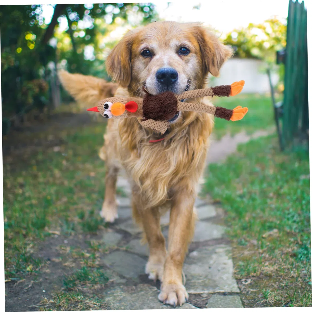 BESPORTBLE 3piezas Juguete Interactivo para Perros y Gatos Muñeco De De Peluche para Masticar y Limpiar Los Dientes Juguete para Mascotas Divertido y Saludable