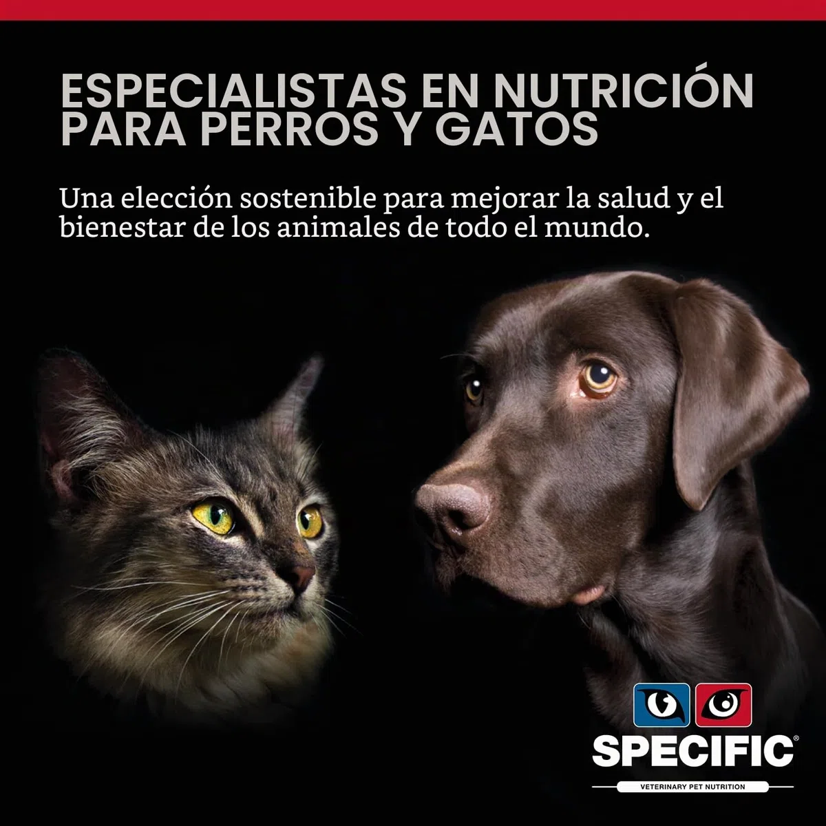 Specific Specific Feline Adult Frd Weight Reduction 6Kg 6000 g