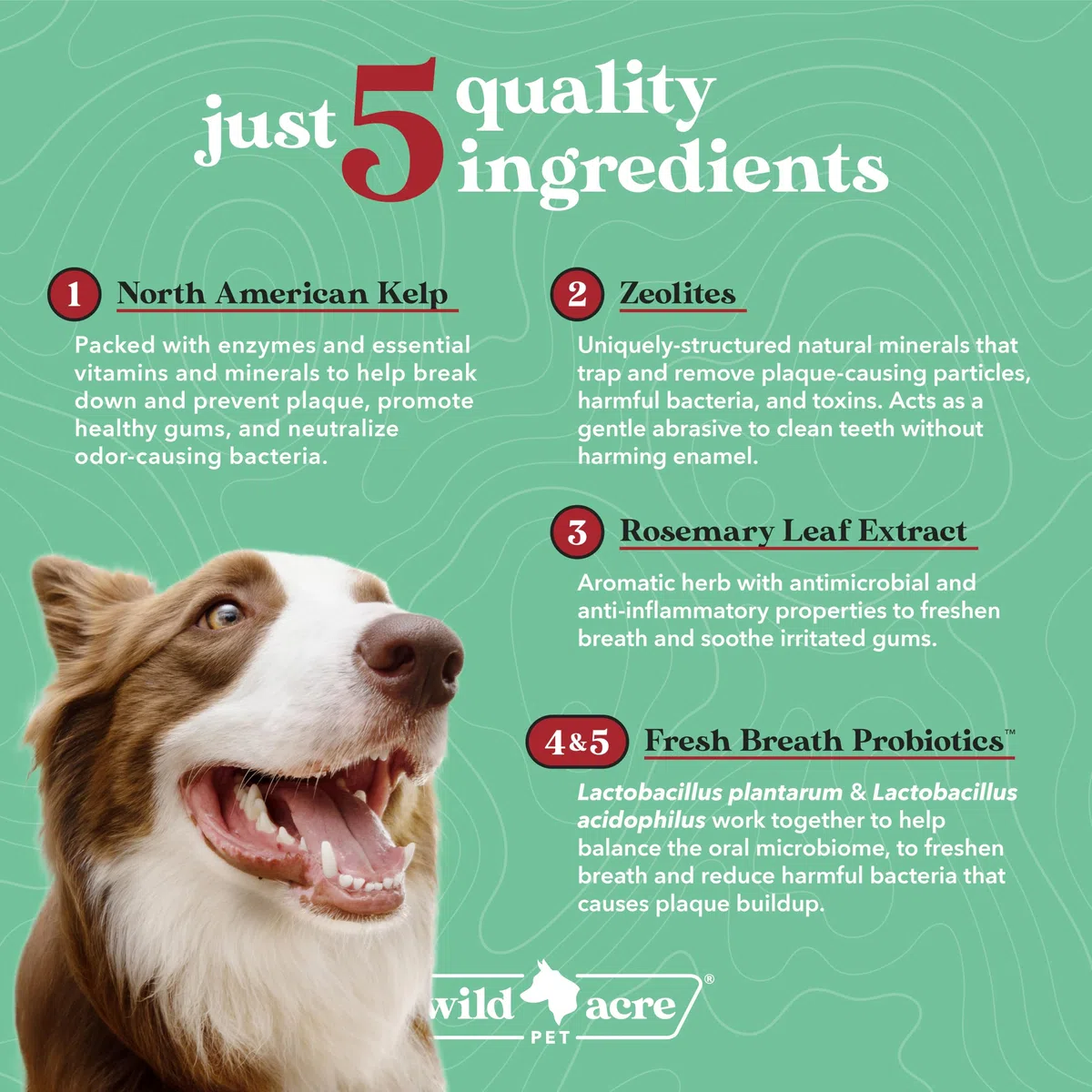 Polvo dental para perros, ambientador de aliento de perro, polvo dental para limpieza de dientes, placa de limpieza, cuidado dental para perros, removedor de sarro para dientes, probióticos para