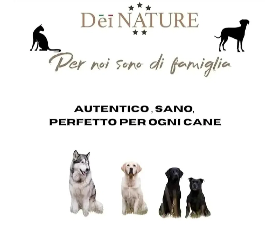 Cuernos de ciervo para perros enteros – 2 unidades talla L – masticativo natural – Fortalece la higiene bucal – Resistentes y duraderos – Disponibles en todas las tallas visita nuestra