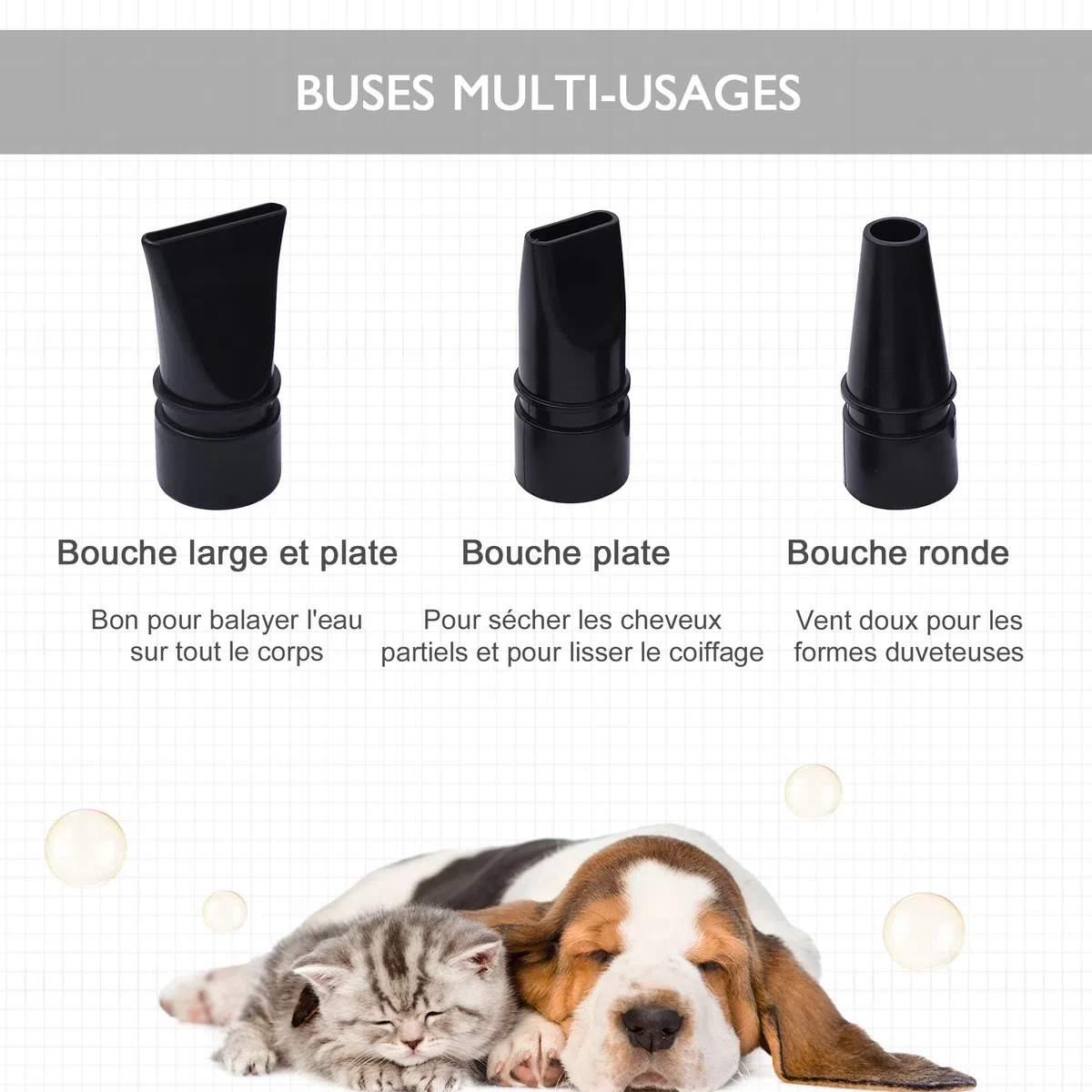 Secador de pelo profesional para perros o gatos, 2400 W Negro | Secador de pelo, secador de pelo, para animales, velocidad y temperatura, 3 boquillas intercambiables incluidas