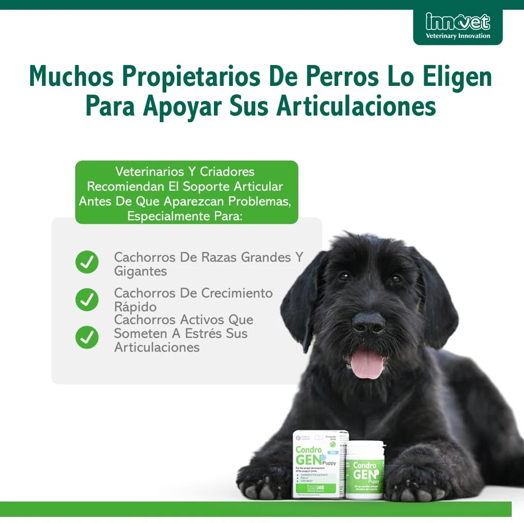Innovet Condrogen Puppy Condroprotector Perros Cachorros 60 Comprimidos | Articulaciones Fuertes Durante el Crecimiento con Glucosamina Condroitina – Nutre el Cartílago Para Razas Grandes y Gigantes