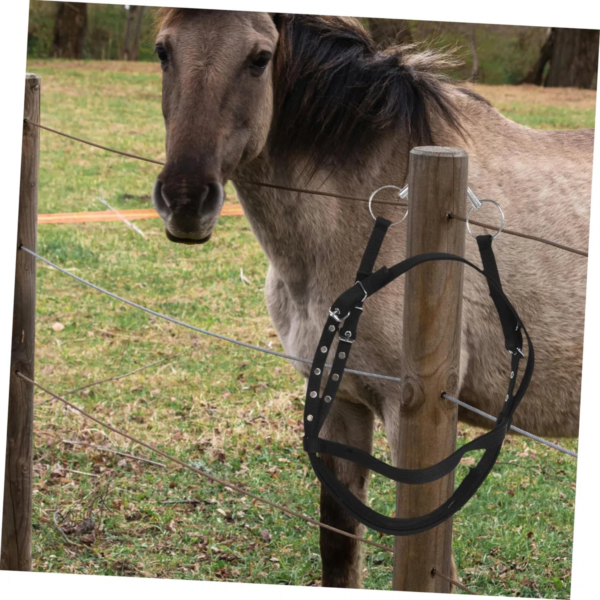 De Nylon para Caballo Cuerda De Entrenamiento Resistente Útil para Equitación y Paseos Diseño Elegante y Práctico para y