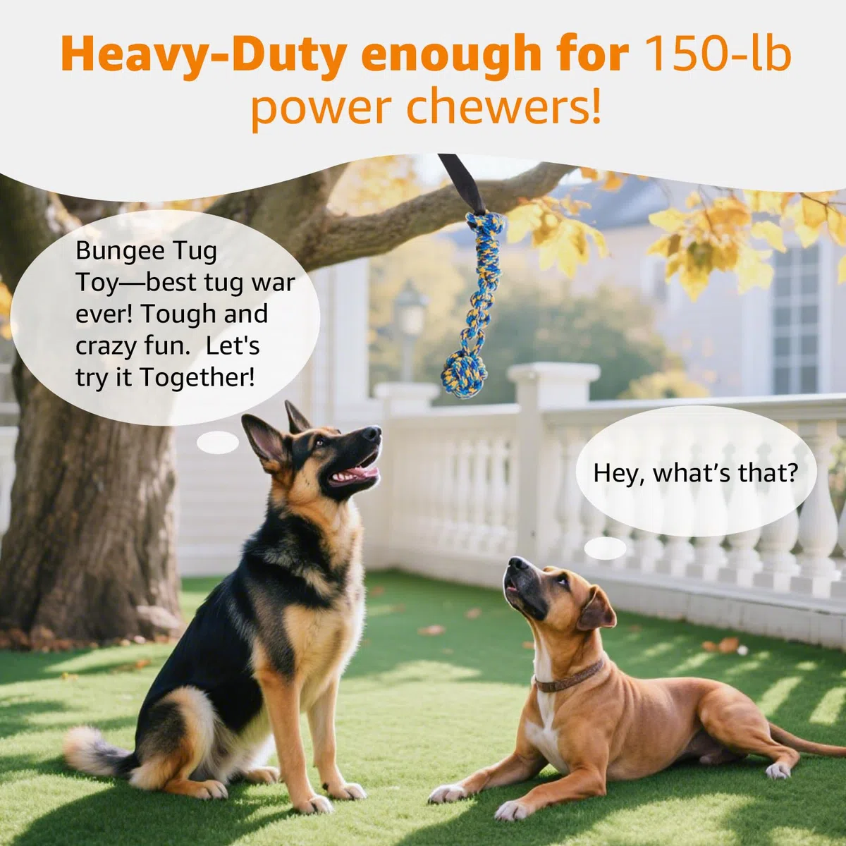 LOOBANI Juguete elástico para Exteriores, Juguete para Perros Colgantes del árbol para Perros pequeños a Grandes, Cuerda de Juego interactiva y Correa con Cuerda para Masticar (Negro)