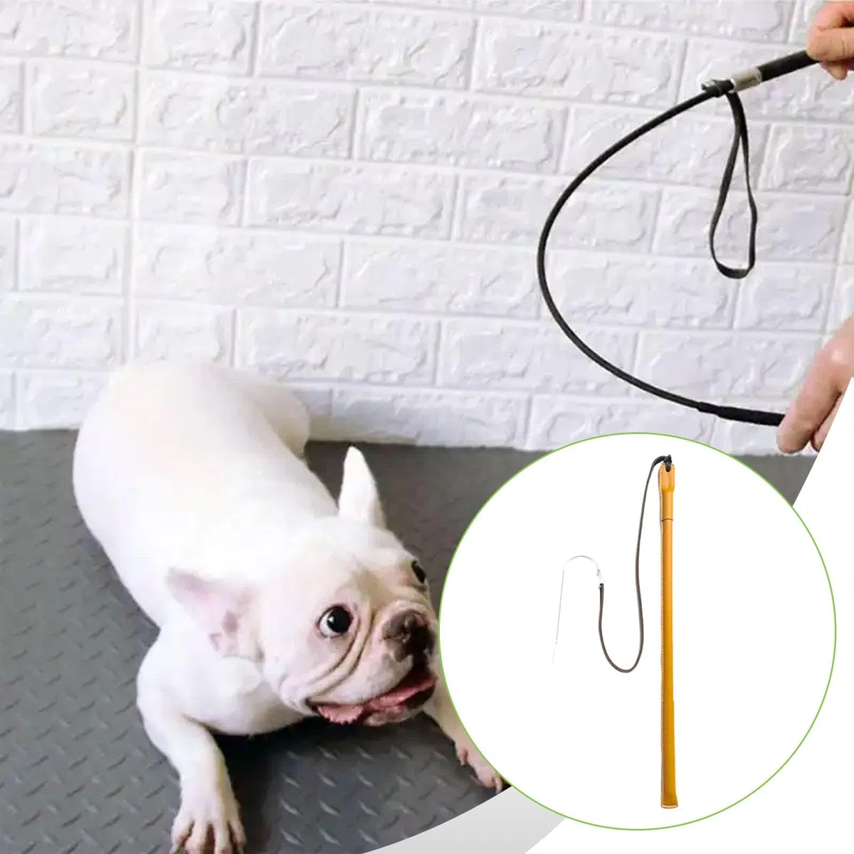 Harilla Látigo de adiestramiento canino para Entrenamiento de obediencia. Herramienta de Entrenamiento de Resistencia y Comportamiento. Varilla de disciplina