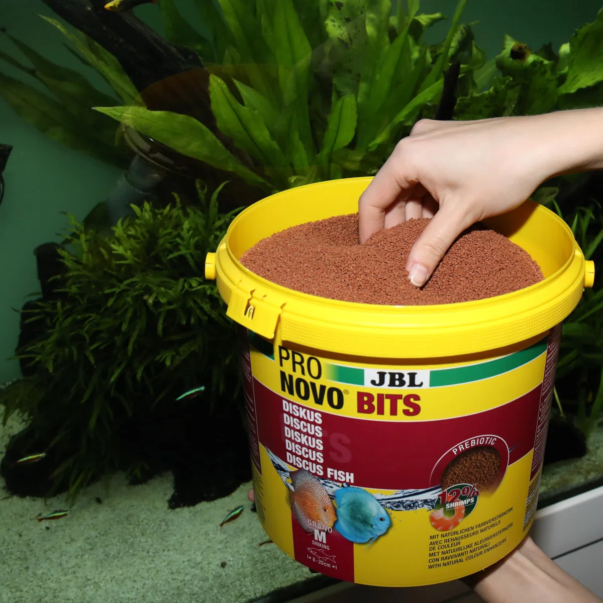 JBL PRONOVO bits Grano, pienso primario para Peces y cíclidos de 8-20 cm, alimento para Peces gránulos, Talla M, 5500 ml