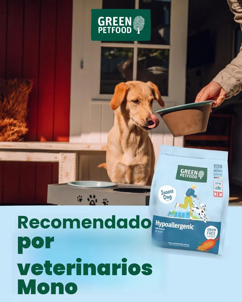Green Petfood InsectDog Hypoallergen con insectos (1 x 10 kg) | Adulto | alimento seco premium para perros adultos alérgicos | sin cereales | alimento sostenible para perros | calidad alemana | 1 pack