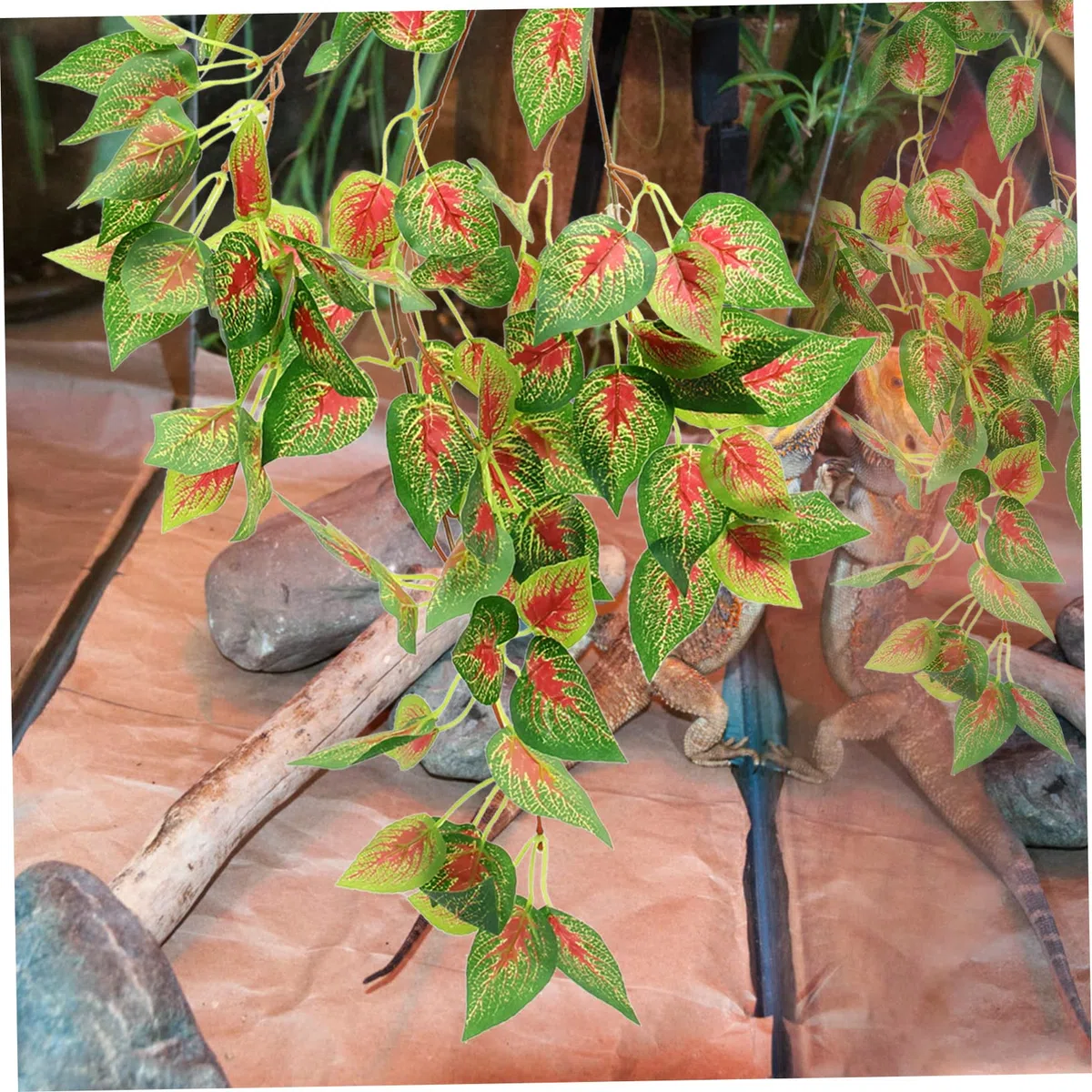 Kisangel 4piezas Artificial para Reptiles Accesorio De Terrario De Resistente y Ecológico para Hábitats Lifelike y De y Terrarios