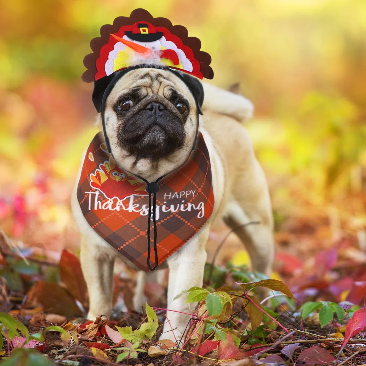 Sanwuta 16 piezas de accesorios de Acción de Gracias para mascotas, incluye bandanas de otoño para perros, diademas de pavo para Acción de Gracias, bandana para mascotas, bufanda triangular para la
