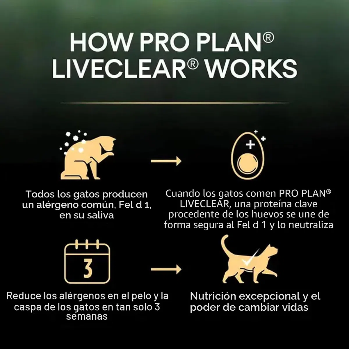 PURINA PRO PLAN | Liveclear Sterilised | Senior 7+ | Rico en Pavo | Croquetas | Gato | Bolsa de 2,8 kg