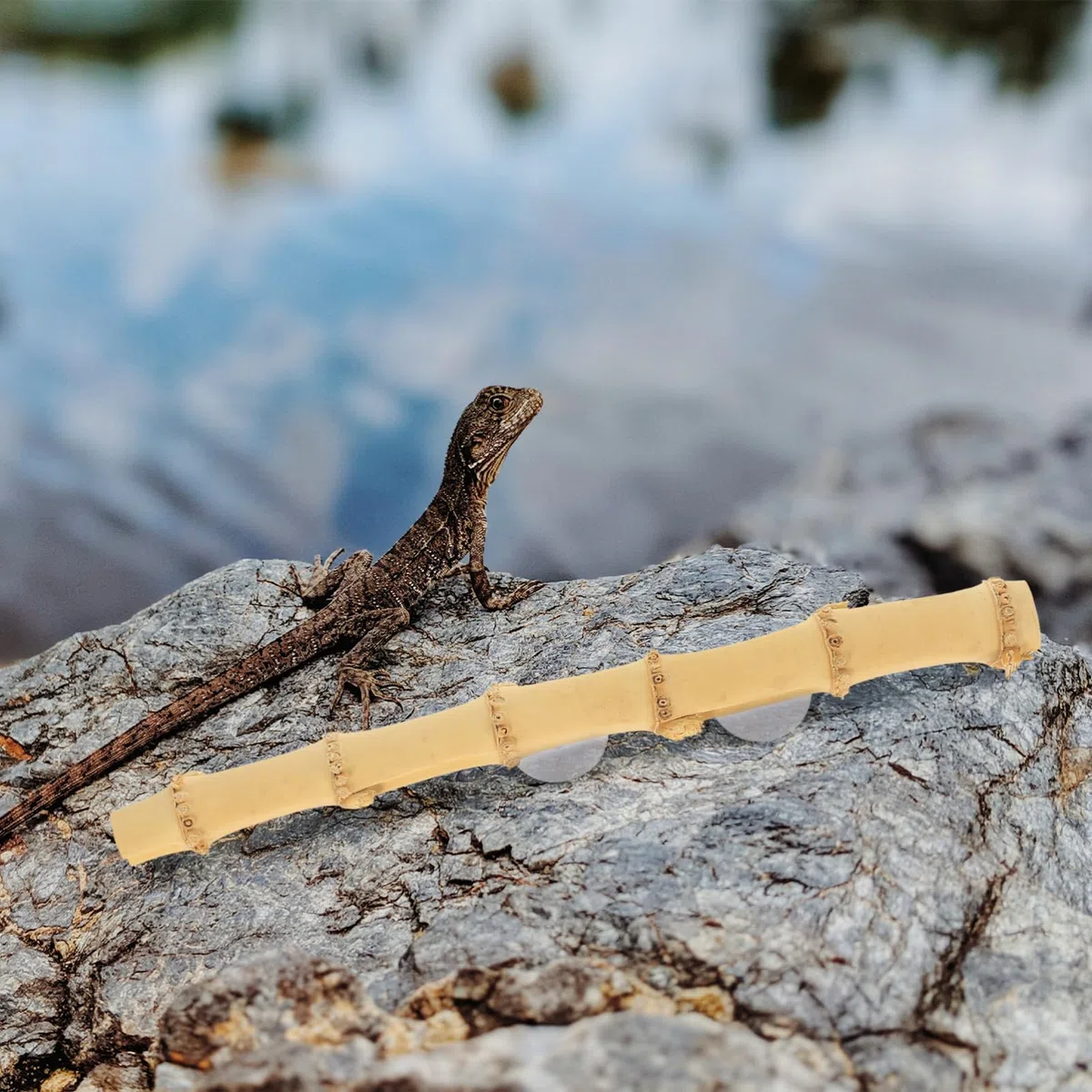 Happyyami 4piezas Rama De para Reptiles Juguete para Barbudos Suministro De Lizard Accesorios para Terrario