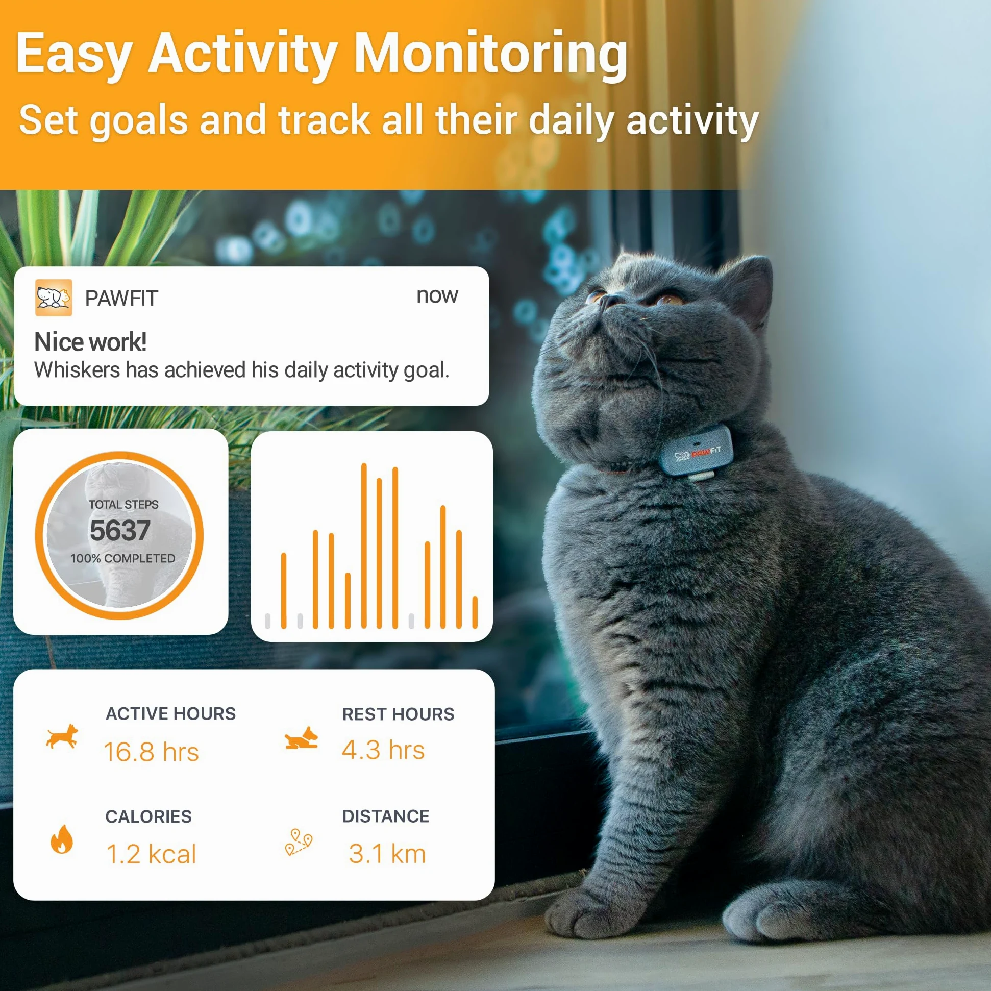 Pawfit Lite for Cats - Rastreador GPS 4g | Seguimiento en tiempo real | Monitoreo de actividad | Historial de ubicaciones | Alcance ilimitado | Collar de seguridad incluido | Simplemente blanco