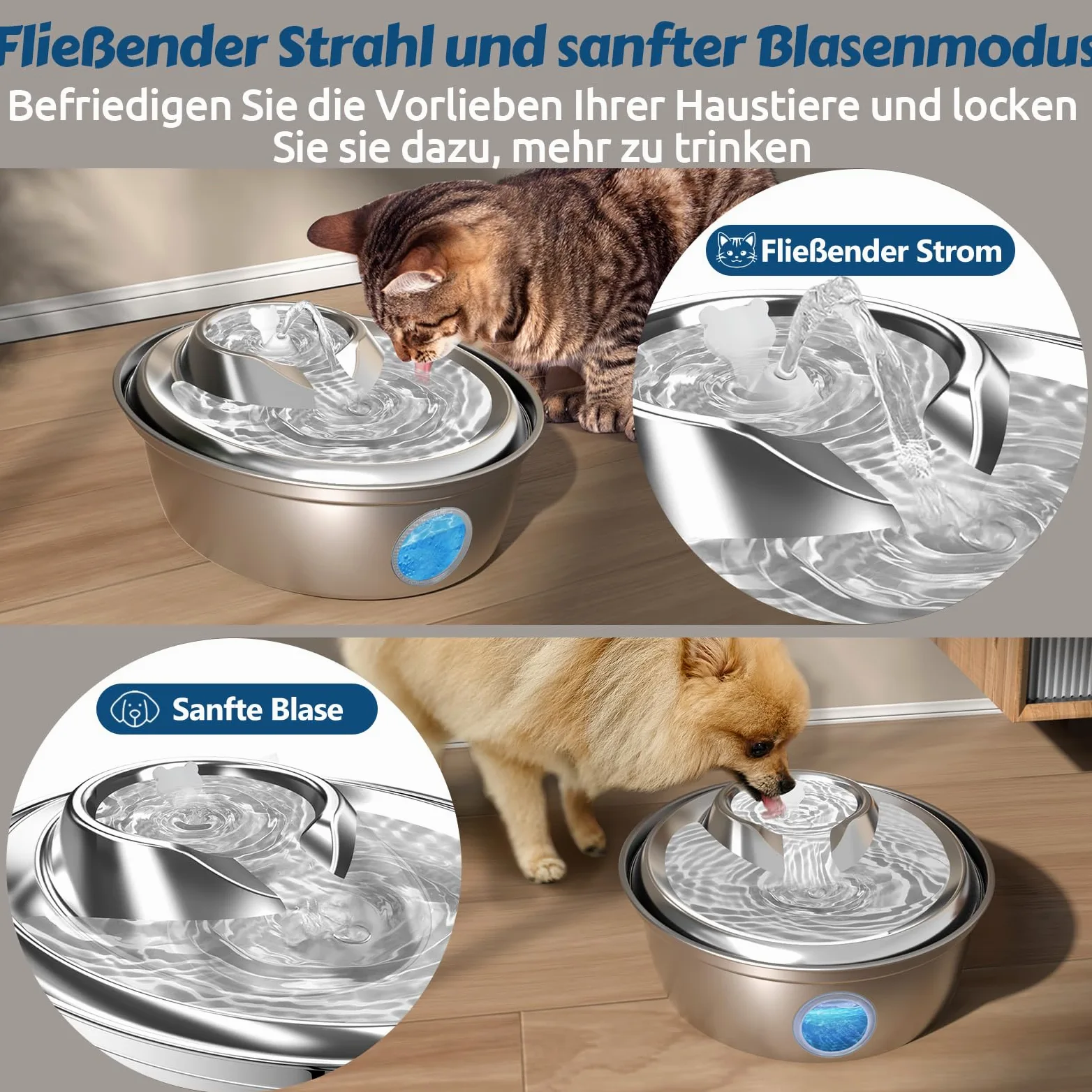 GoldenSun Fuente de agua automática para gatos, acero inoxidable, fuente de agua para gatos, 2 l, 12 filtros de carbón activo, apta para todos los tamaños de raza (D36)