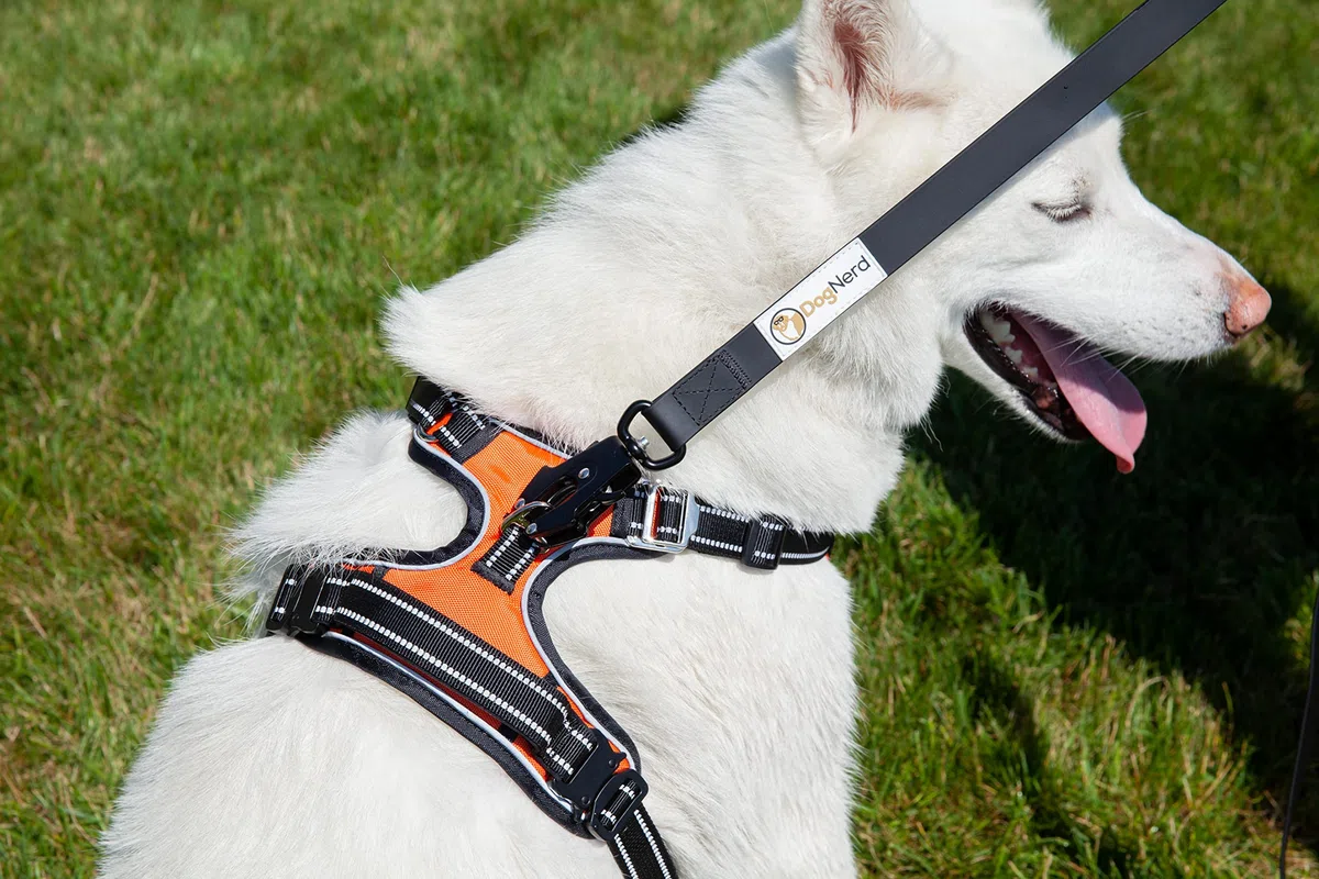 Correas tácticas para perros medianos y perros de raza grande (6 pies) | Correa de nailon recubierto de PVC resistente con clip de rana de liberación rápida | Clip G integrado (rojo, 6 pies)
