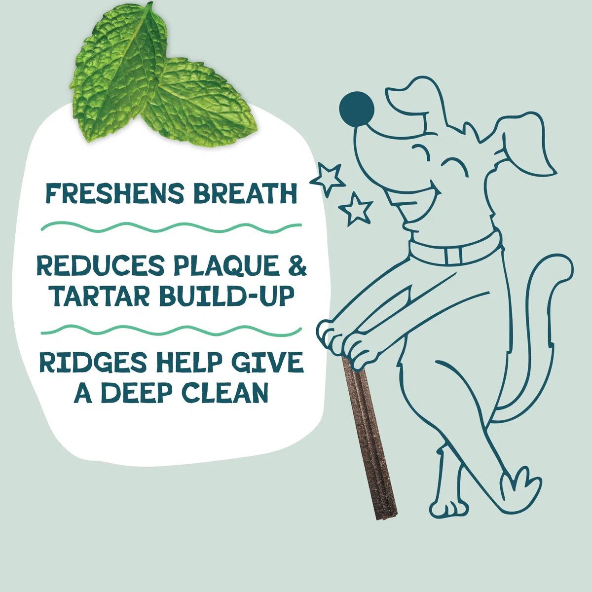 Shameless Pets Toothberry Dental Chews para Perros - Palillos de Dientes Naturales para Perros para un Aliento Fresco, Limpieza Dental y Elimina el sarro, golosinas para Perros sin Cereales, sin maíz