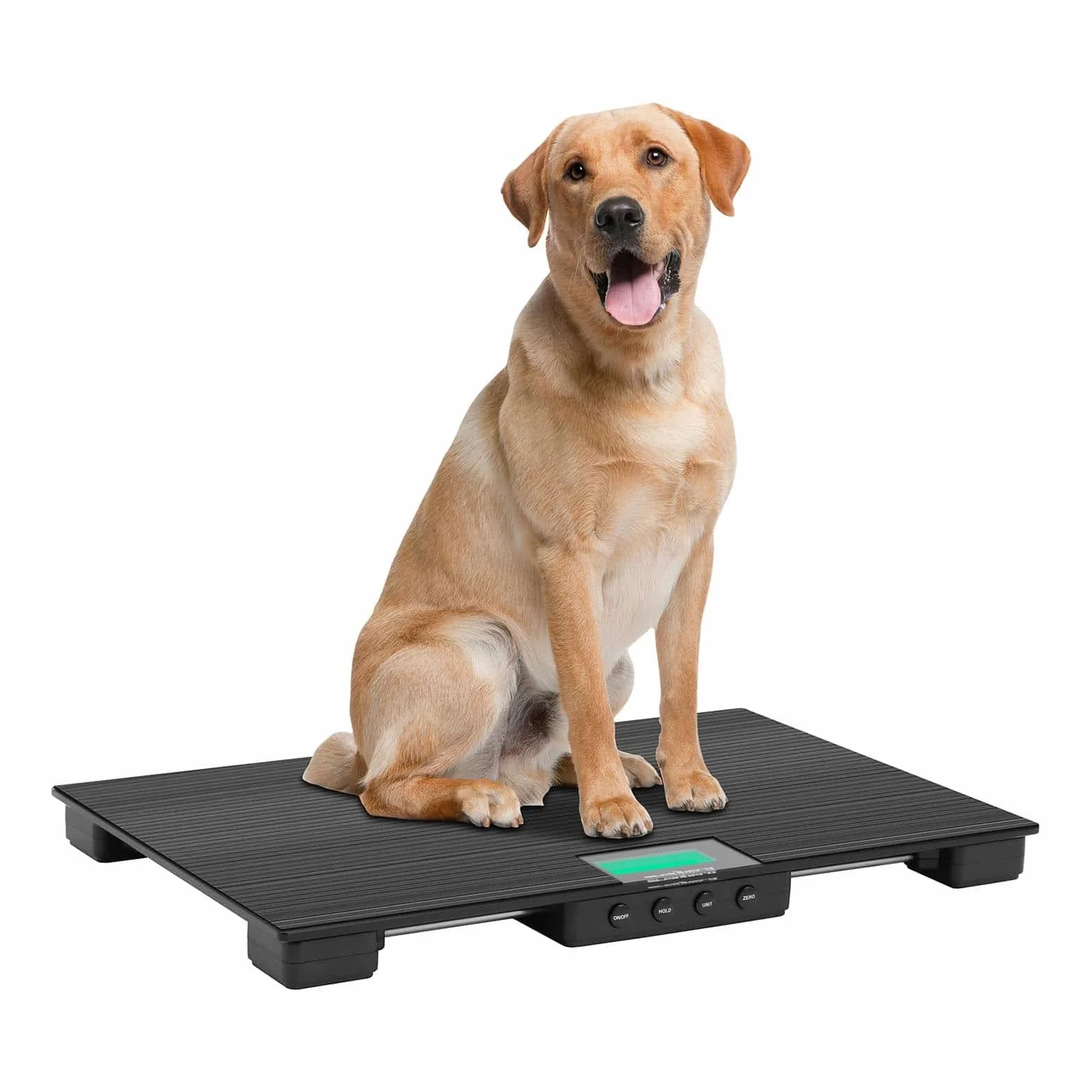 Steinberg Systems SBS-PS-30 - Báscula para animales (30 kg/10 g, alfombrilla antideslizante, LCD, para animales pequeños, veterinarios)