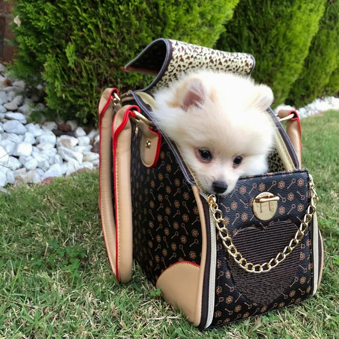 Adriene's Choice Transportador de Mascotas de Lujo, Bolsa de Transporte para Cachorros, Bolsa de Transporte para Gatos, Impermeable, de Piel sintética, Viajes al Aire Libre,