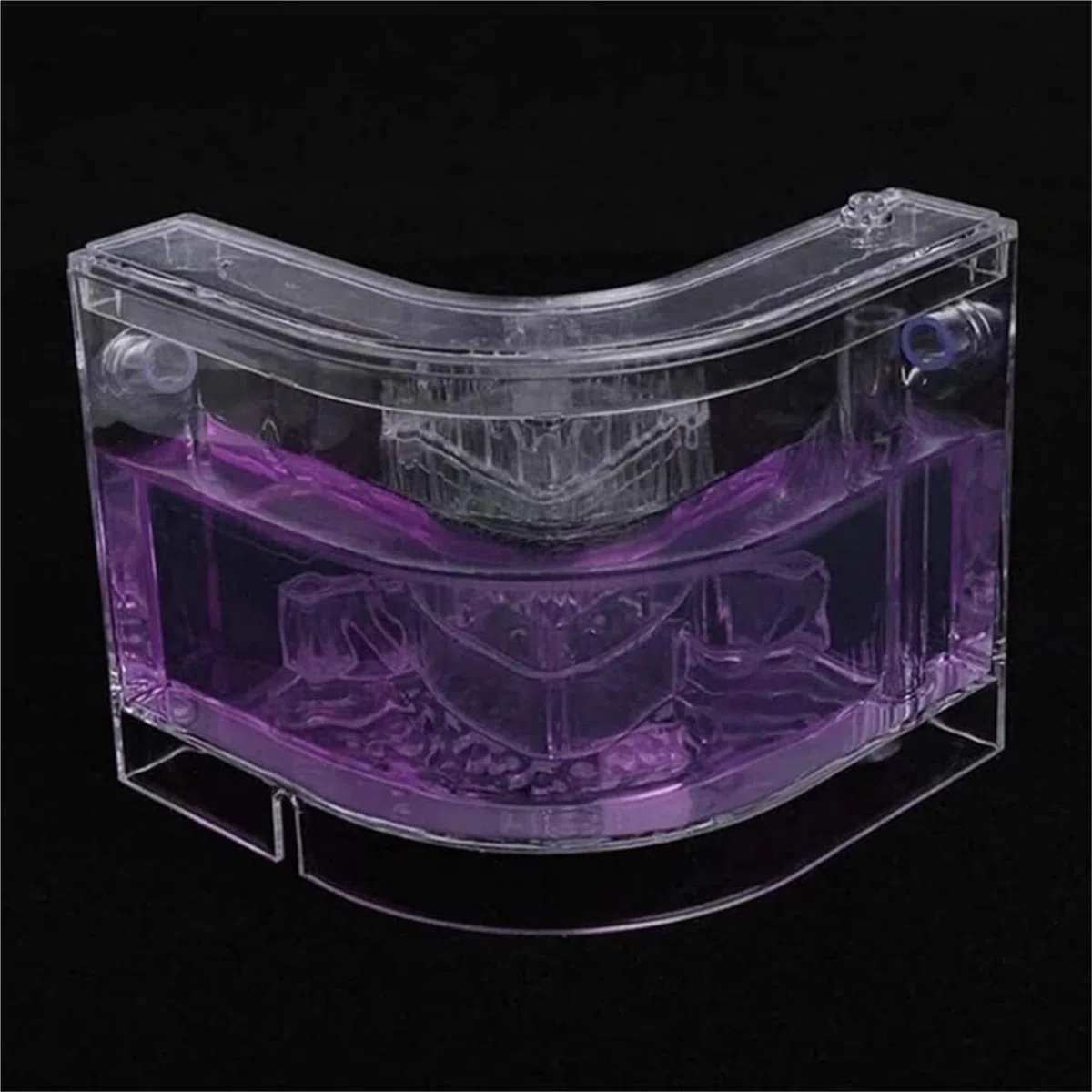 Acrylic Ant Castle