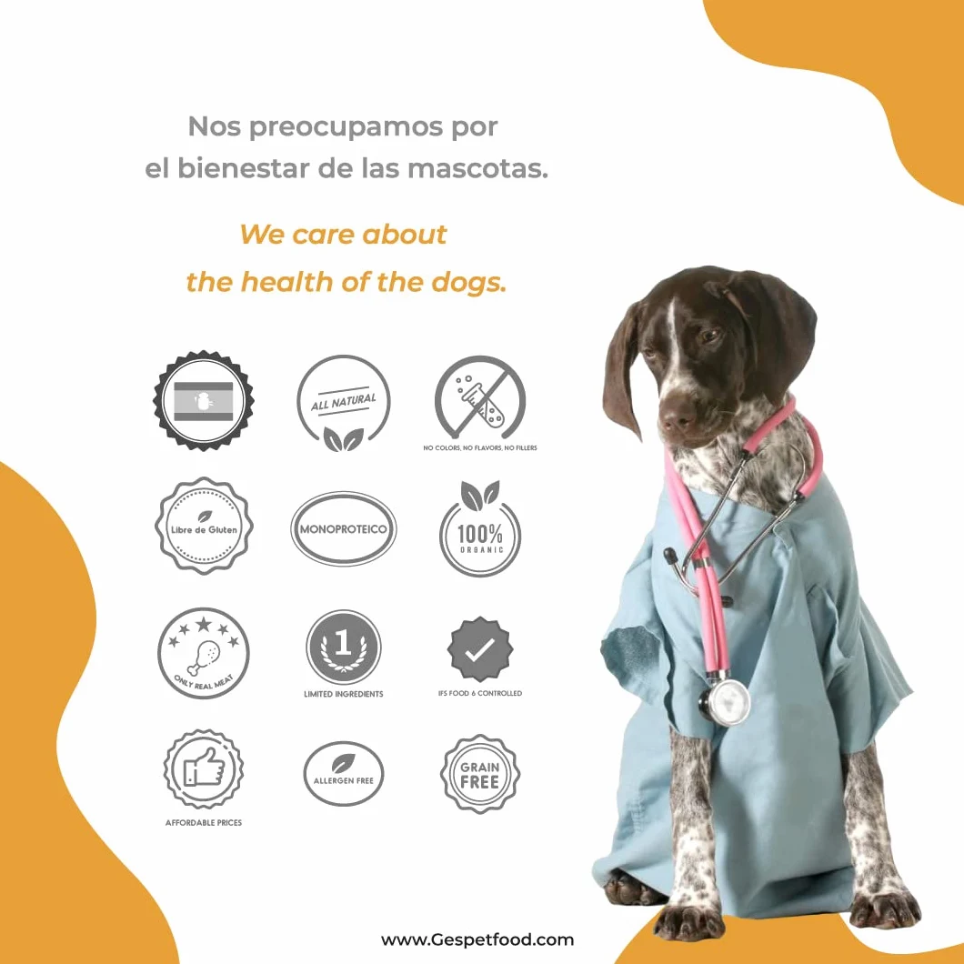Gespetfood - Nervio de Toro 15" para Perros - Snack Deshidratado para Perros - 11 Unidades - Encías Saludables - 500gr