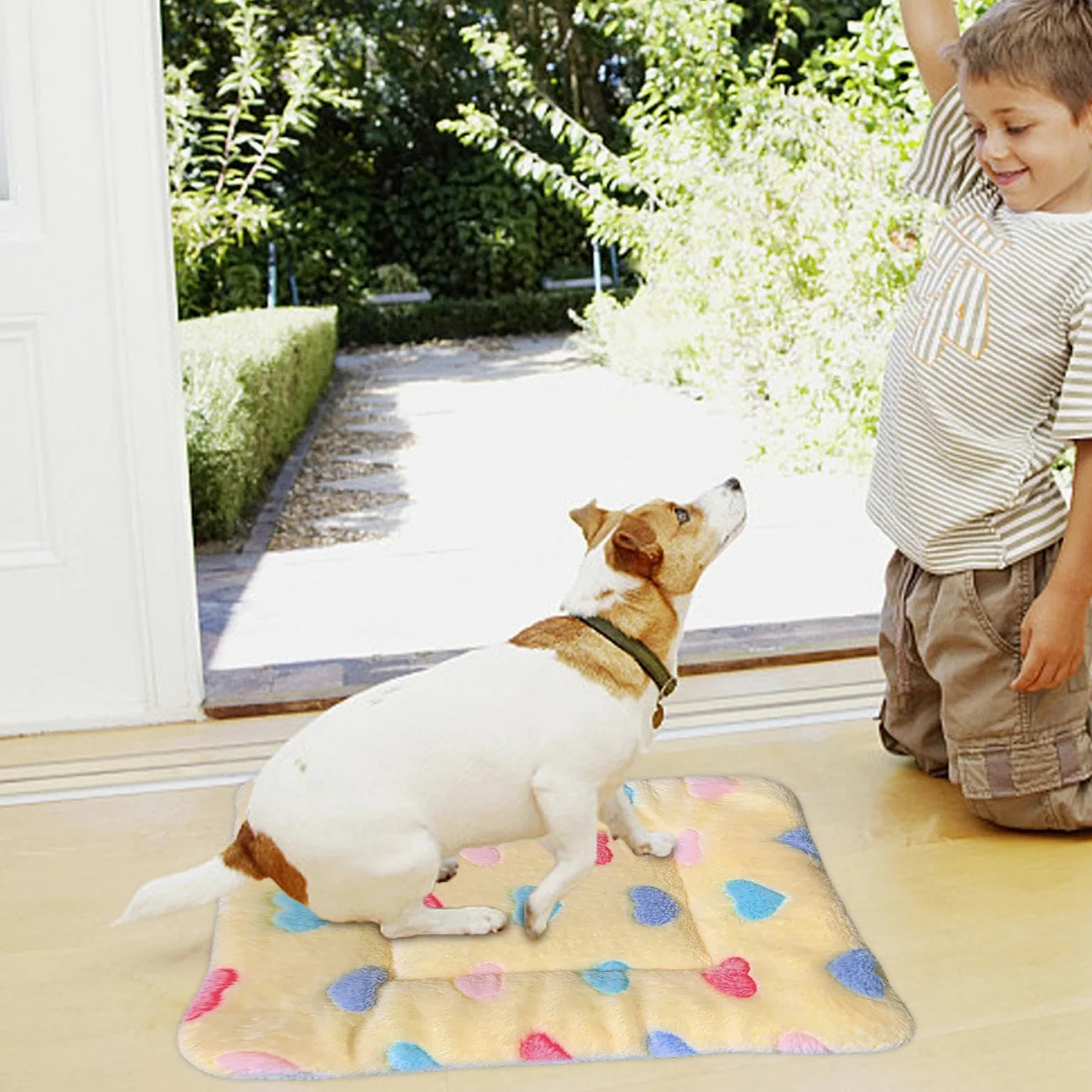 Manta para gatos de interior, mantas para gatitos, cojines para perros | cachorros, gatos, mantas para gatos y perros, camas para gatos de interior y perros, cama para nerviosismo y estrés Bellv