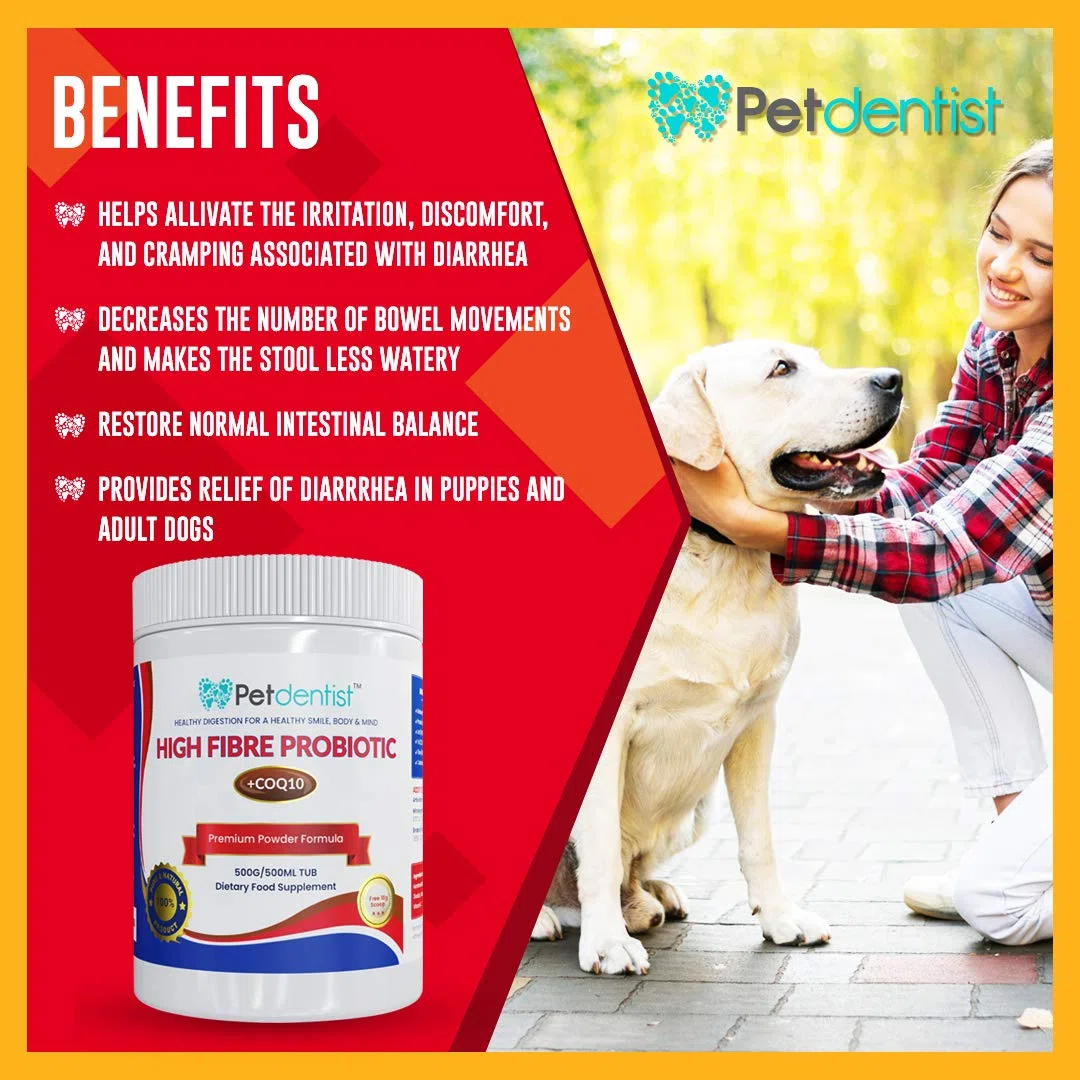 100% natural 500g probióticos con alto contenido de fibra para perros y gatos CoQ10, vitamina C, aminoácidos, minerales, enzimas ideal para la salud dental, cardiaca y digestiva