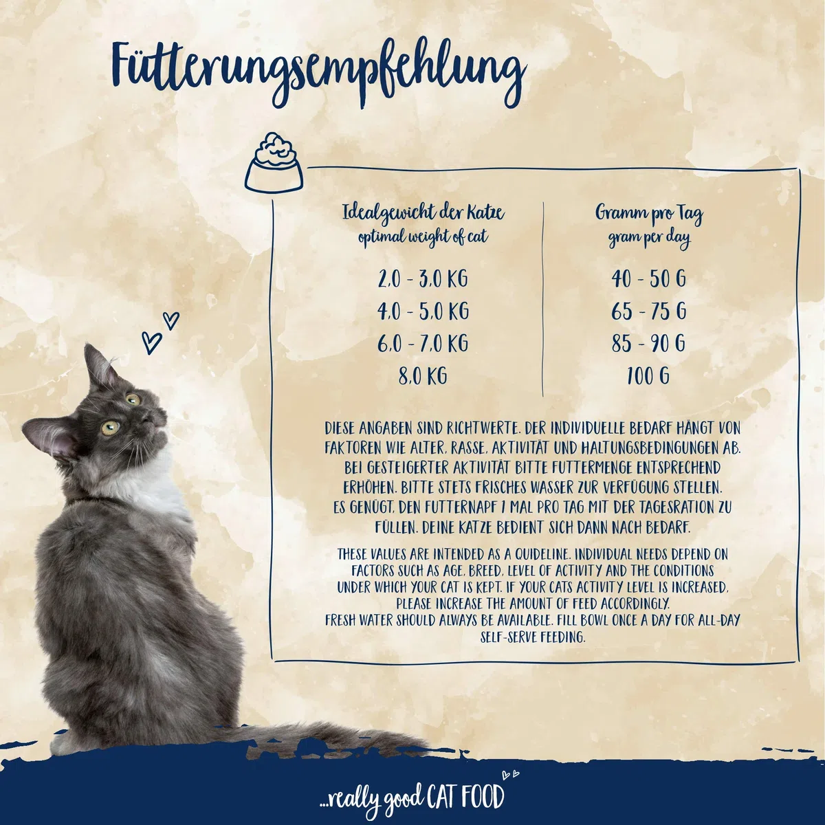 Sanabelle Senior | Comida seca para gatos mayores a partir de 8 años | 1 x 10 kg