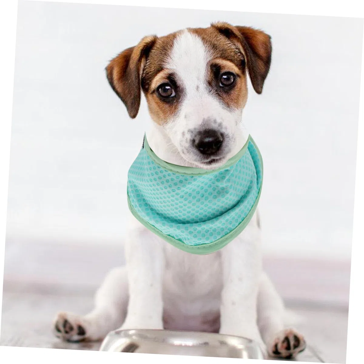 FRCOLOR 5pcs Pet Cooler Schal Kleine hundehalstuch Welpenhalsband Handtücher Handtuch kühlender Schal für Haustiere kühlendes Hundebandana Kalt Dreieckiger Schal Sommerartikel PVA