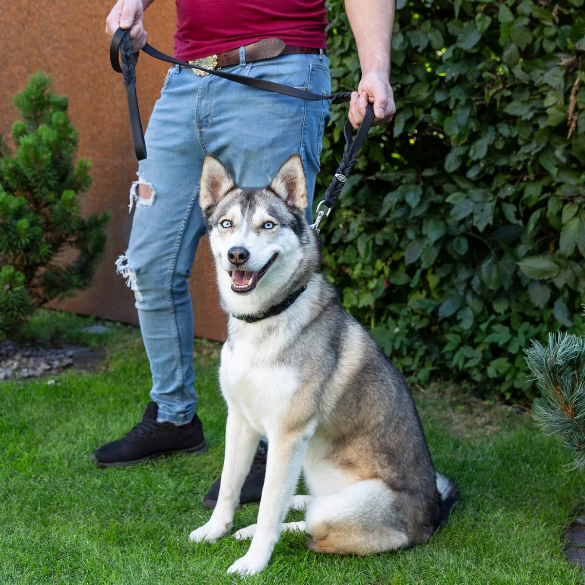 CopcoPet - Correa para perros negra 1,5 m x 20 mm de piel de vacuno de alta calidad - Correa de piel engrasada suave con mosquetón de acero - Correa trenzada con 2 correas de mano - Accesorios para