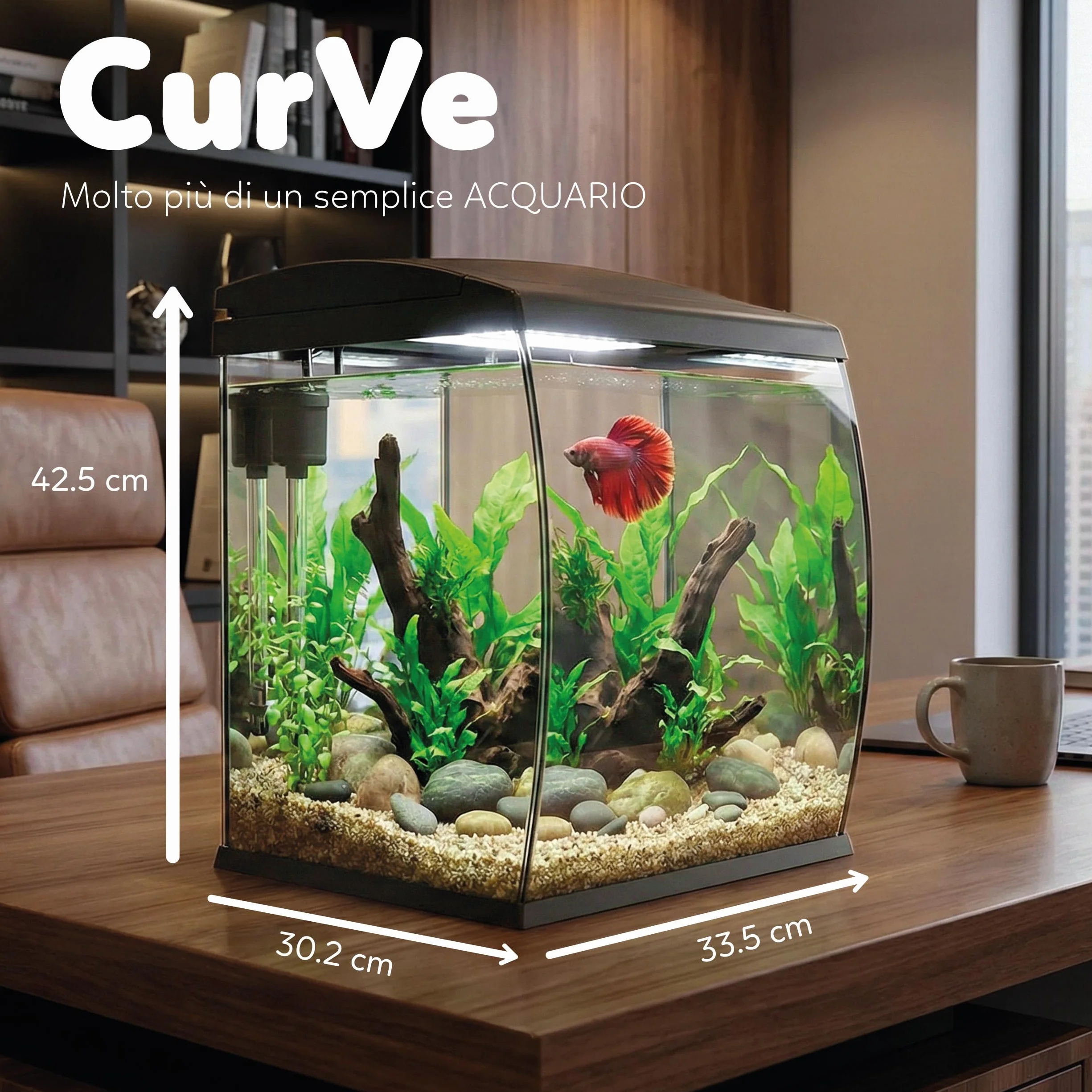 AQPET Acuario Curvo de Cristal Curvado 35 l con Filtro Superior Integrado y LED 6 W – Acuario de diseño de Escritorio con Bomba incluida y Tapa para dispensador automático de Alimentos (Negro)