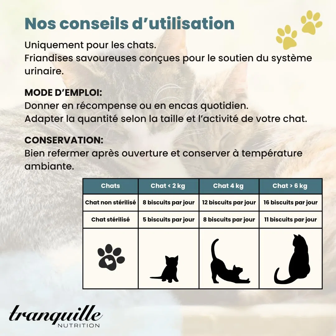 Tranquilo Crunch' Experto Urinario para Gato (40 x 60 g) | Dulces de Arándano Seco | Apoyo al Sistema Urinario | Croqueta Gato | Prevención de Infecciones | Snack Bienestar sin Azúcares