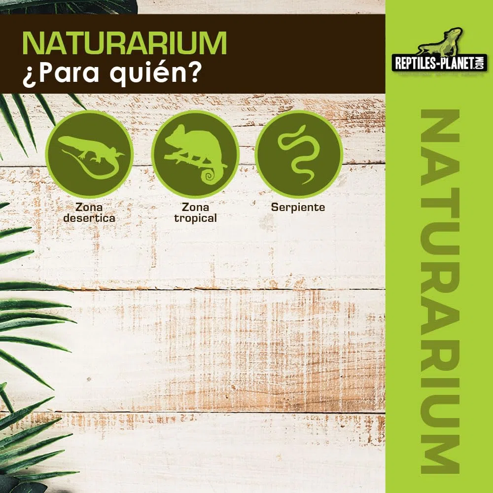 Reptiles Planet Terrarium Naturarium M 75x45x75cm