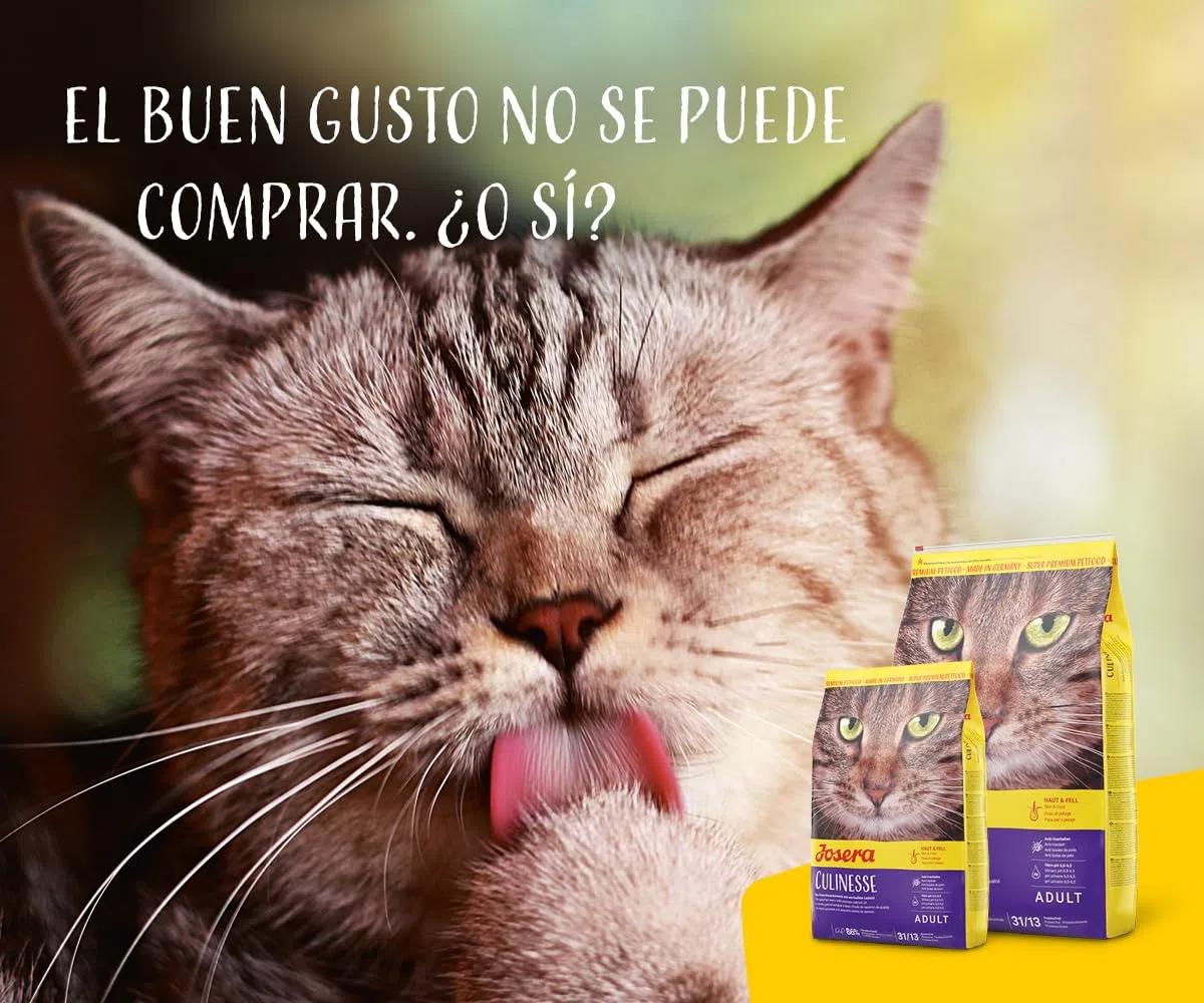 JOSERA Culinesse (1 x 10 kg) | Adultos | Pienso seco Gatos Adultos exigentes | Salmón y Aves | Fácil de digerir | Contenido moderado en Grasas | Sin Trigo | Pack 1