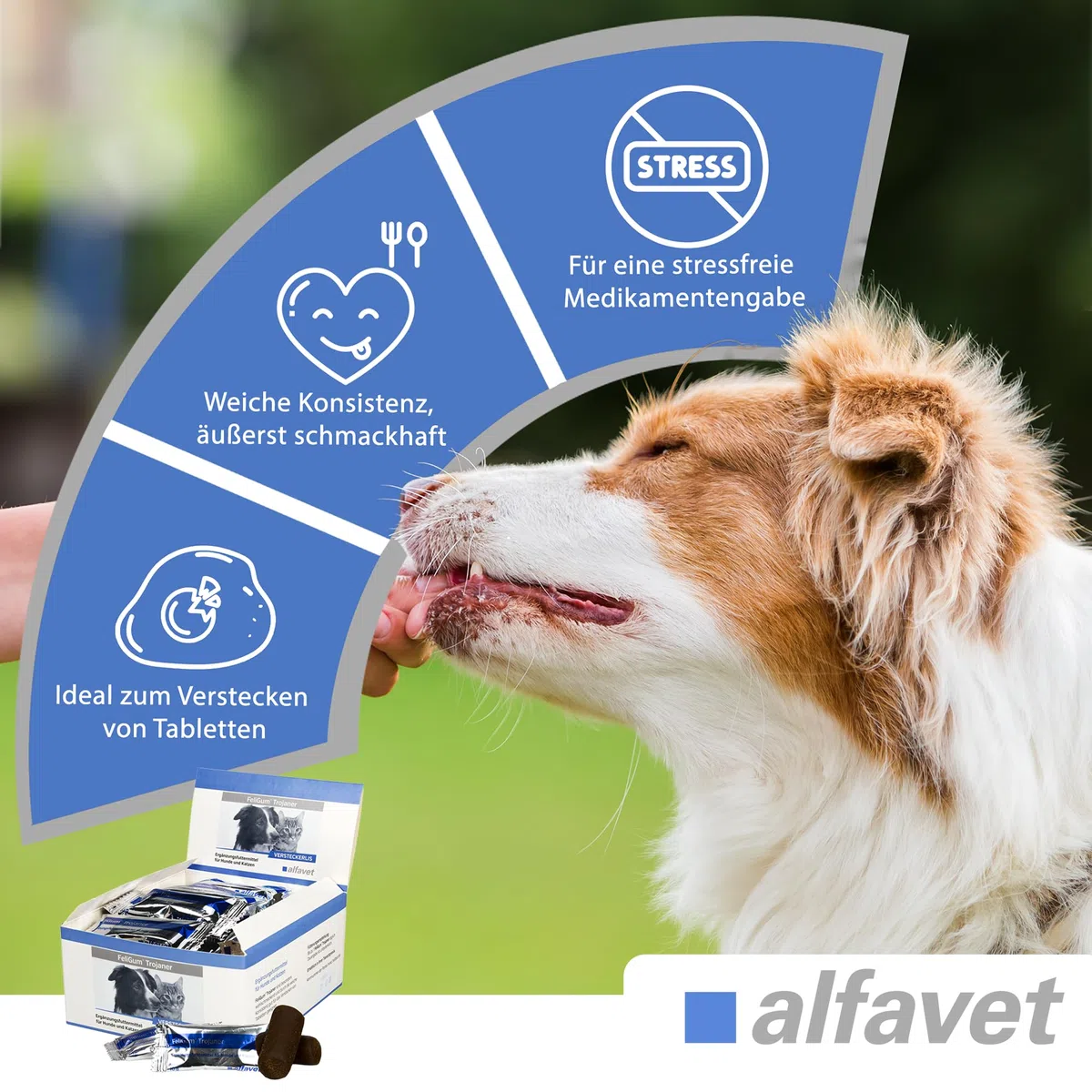 Alfavet FeliGum Troyano Caja 30 x 10 g Escondite Medicamentos Moldeable como Snack Complemento Alimento Complementario para Perros y Gatos