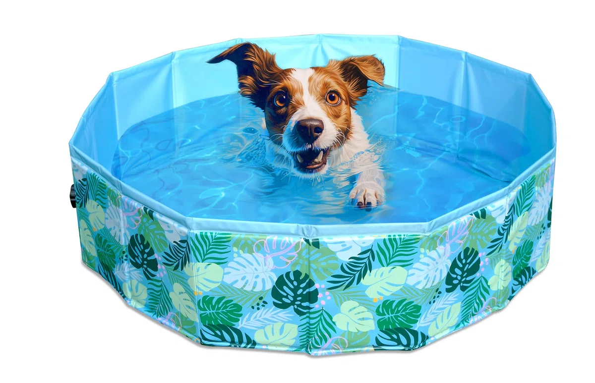 Piscina para Perros,Plegable Bañera para Perros Pequeños Mascotas, PVC Piscina para Perros D120cm