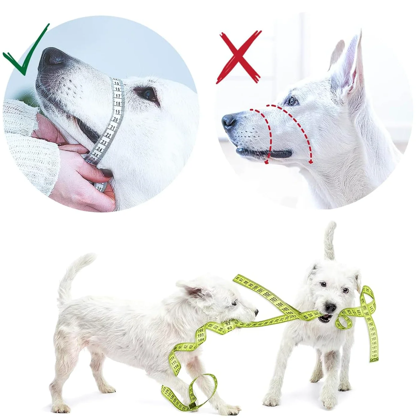 GoodBoy Protector de bozal Suave para Perros, Evita mordeduras y masticaciones no deseadas de Forma Segura, Nuevo Ajuste Seguro, Acolchado de Neopreno Suave, no más Rozaduras, guía de Entrenamiento